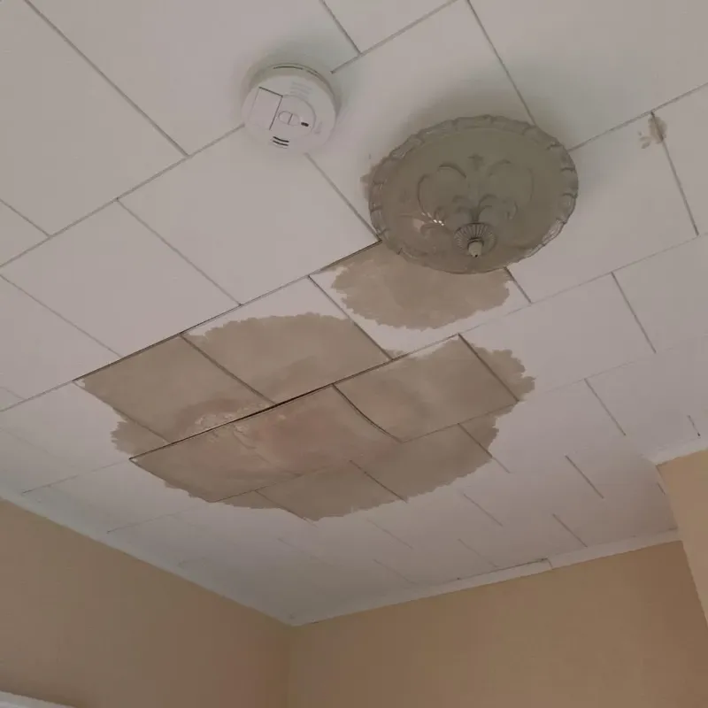 Ceiling Water Damage Repair in Daleville, IN