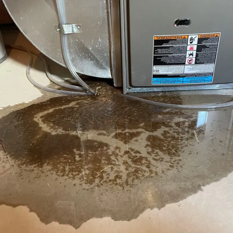 Pipe Burst and Leak Restoration in Daleville, IN